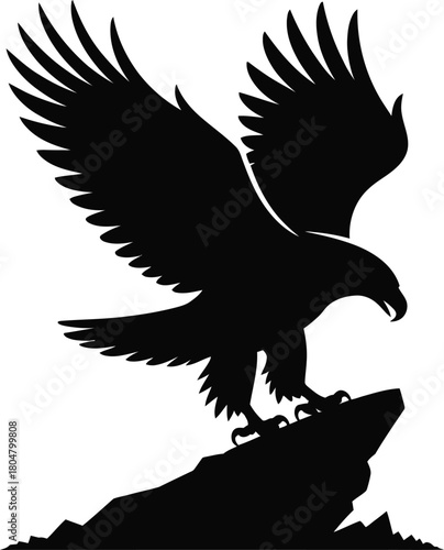 Silhouette of an eagle landing on a rock with wings spread Keywords: eagle, bird, silhouette, landing, rock, wings, spread, talons, predator, raptor, wildlife, nature, freedom