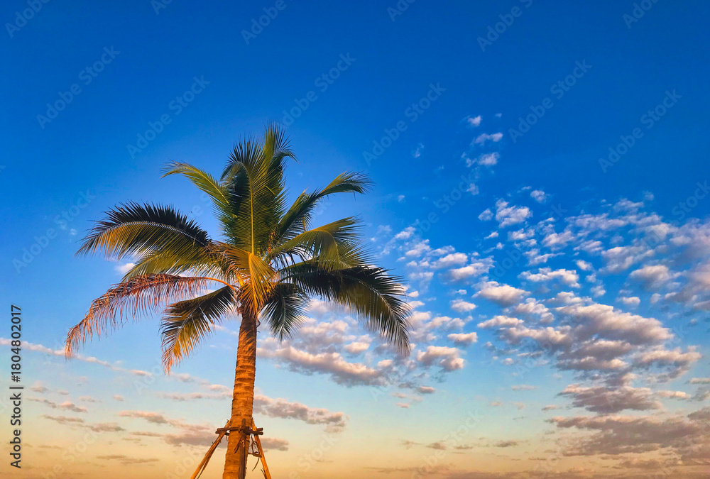 Obraz premium Silhouette coconut palm trees on beach at sunset. Vintage tone.