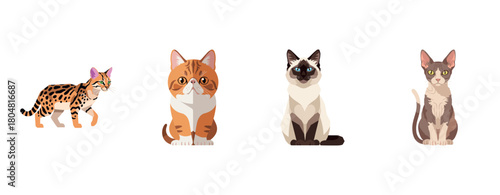 Illustration of diverse cat breeds: bengal, tabby, siamese, sphynx