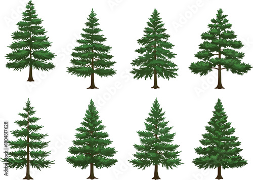 Evergreen tree illustration set, coniferous pine and fir variations, green foliage, forest design, botanical artwork, natural landscape, seasonal environmental concept