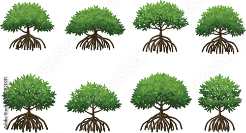 Mangrove tree illustration set, coastal ecosystem vector, tropical forest design, nature clipart collection, eco concept, educational graphic, landscape element, greenery