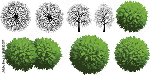 Leafless trees, branching patterns, green leafy tree, top view foliage, aerial plants, seasonal greenery, ornamental design, landscape illustration, decorative nature, botanical artwork