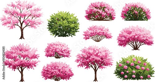 Pink blossom trees, cherry blossom illustration, green bushes, flowering plants, seasonal foliage, ornamental shrubs, spring garden, landscape design, decorative nature, botanical artwork