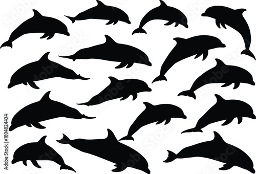 Collection of black dolphin silhouettes showing jumping and swimming poses, marine life vector illustration isolated on white background.
