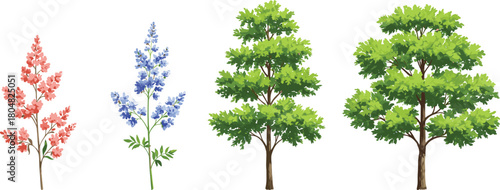 Plant and tree illustration, flowering plants drawing, small medium large tree, botanical sketch, forest design, ecology art, greenery artwork, landscape concept, natural form