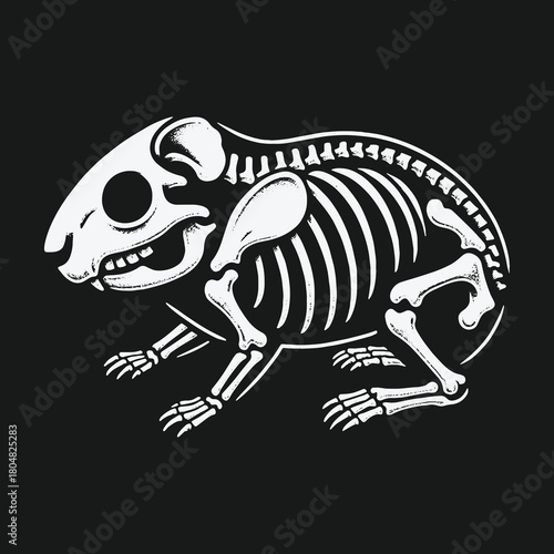 Minimalist graphic illustration of a small rodent skeleton.