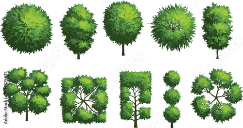 Rounded canopy trees, geometric topiary, spiral foliage, square-shaped trees, stylized greenery, ornamental plants, seasonal forest, landscape design, decorative nature, botanical illustration