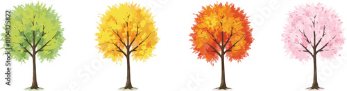 Seasonal trees, spring blossoms, summer greenery, autumn foliage, colorful leaves, ornamental plants, natural forest, landscape design, decorative garden, botanical illustration