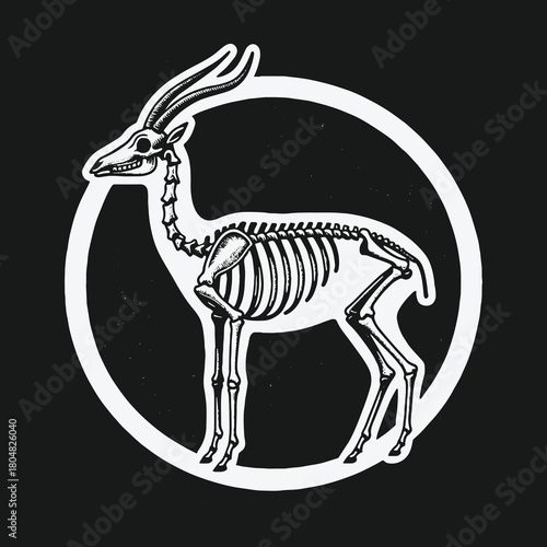 Monochrome illustration of a gazelle skeleton anatomy inside a circle.