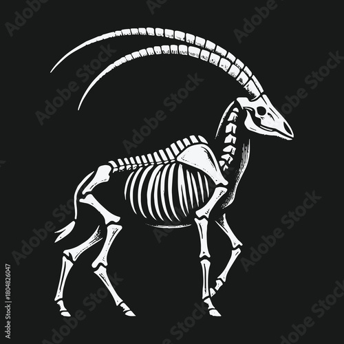 Monochrome illustration of a walking antelope skeleton with long curved horns.