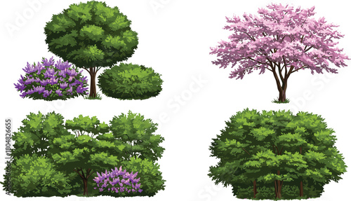 Round green tree, purple flowering bush, pink blossom tree, dense shrubs, clustered greenery, ornamental plants, seasonal foliage, garden landscape, natural design