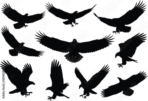 Set of black flying eagle silhouettes with spread wings and talons, vector illustration collection isolated on white background.