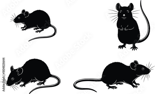 Set of black mouse or rat silhouettes with white details, standing and sitting poses, isolated vector illustration collection.