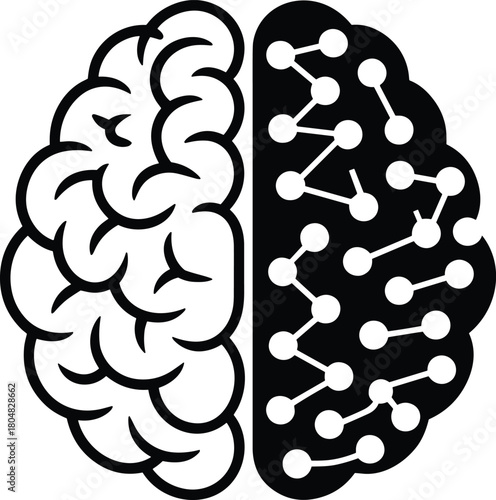 Human brain hemispheres showing logic and creative thinking with connections