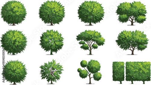 Stylized trees, trimmed hedges, rounded canopies, dense foliage, angular shrubs, ornamental greenery, seasonal plants, landscape design, decorative nature, botanical illustration