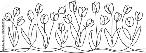 Hand drawn vector illustration set of flowers and plants with healthy dental care icons and medical symbols