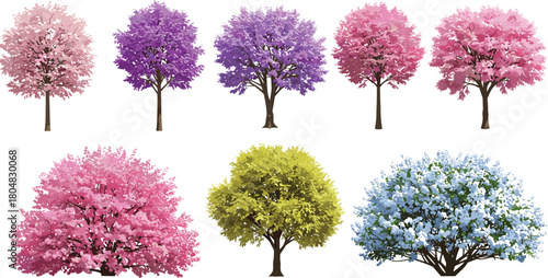 Stylized tree illustration, colorful foliage, artistic plants, seasonal trees, decorative nature, botanical artwork, vibrant leaves, landscape design, creative tree collection