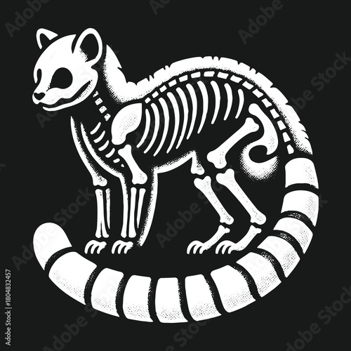 Monochrome graphic illustration of a raccoon skeleton with a long striped tail on a dark background.