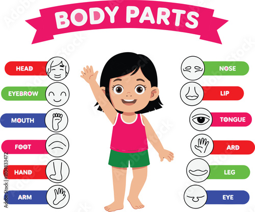 Educational diagram chart illustrating human body parts vocabulary for kids, cute little girl showing basic anatomy, teaching poster, language learning, biology science lesson illustration