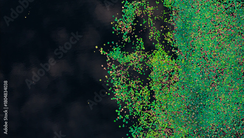 Top-down aerial photo of vibrant green and multicolored floating leaves scattered over dark, calm water, creating a striking natural abstract pattern.