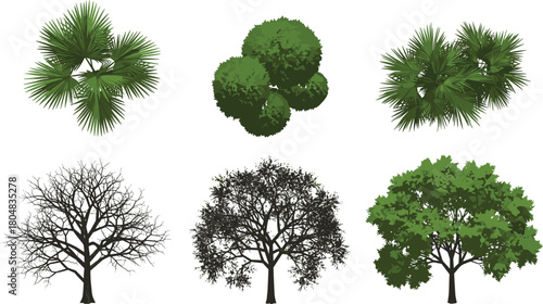 Tree illustration set, palm tree drawing, deciduous tree sketch, seasonal foliage artwork, botanical design, ecology concept, greenery artwork, plant anatomy, landscape concept, natural form