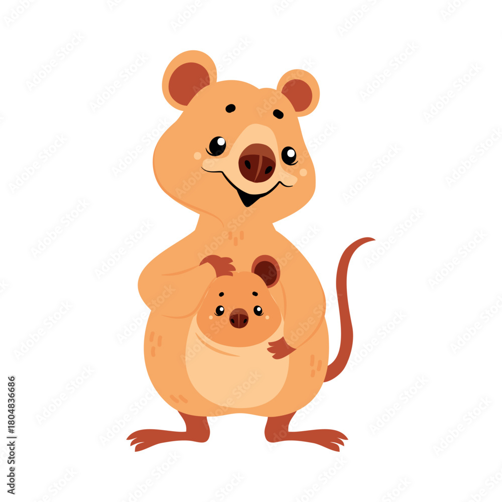 Fototapeta premium Cute Quokka Animal with Pretty Snout and Tail Vector Illustration