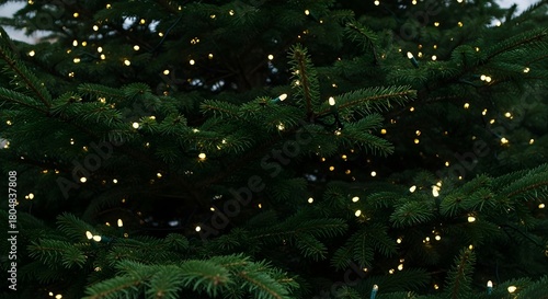 A close up view of a christmas tree with small yellow lights scattered throughout its branches