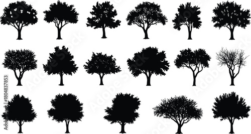 Tree silhouette illustration set, diverse foliage patterns, black outline trees, botanical artwork, natural landscape, seasonal growth, environmental concept design