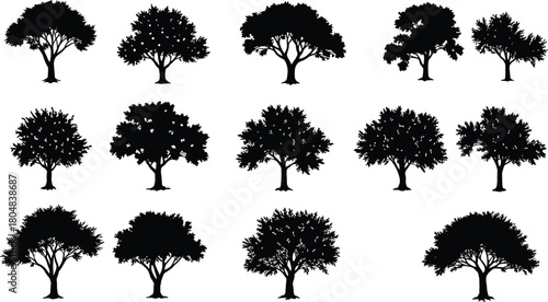 Tree silhouette collection, diverse canopy shapes, black outline trees, botanical artwork, natural landscape, seasonal growth, environmental concept, design illustration