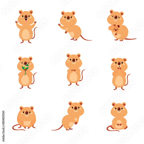 Cute Quokka Animal with Pretty Snout and Tail Vector Set