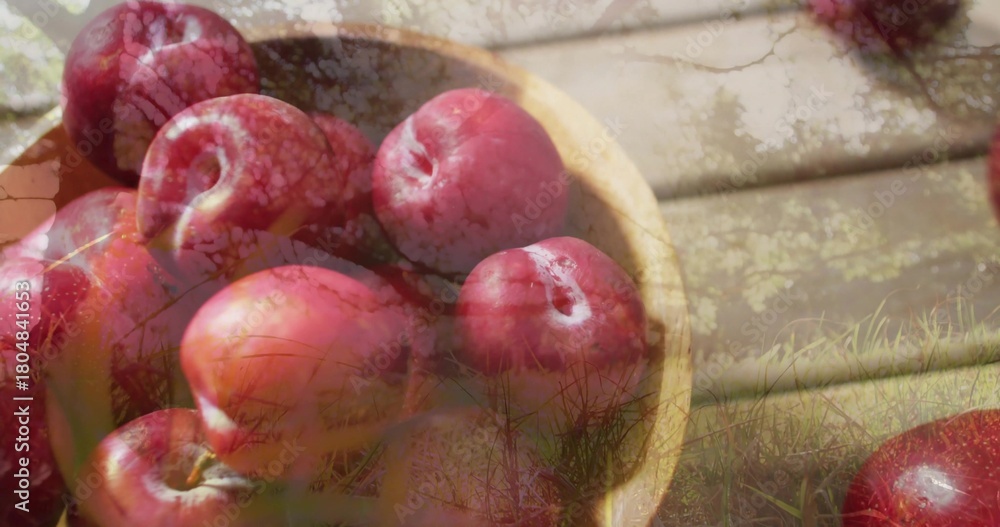 Naklejka premium Displaying shallow wooden bowl holding glossy red apples on wooden deck, with tree branch overlay