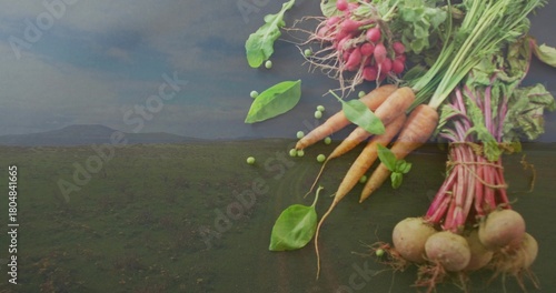 Displaying radish, carrot and beet bunches tied with twine on field, loose peas, copy space