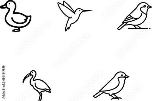 Collection of Bird Icons Featuring Duck Hummingbird Sparrow and Ibis Depicted in Line Art Style for Ornithology Projects Animal Illustrations and Design Compositions
