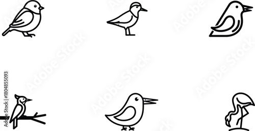 Six Different Line Art Bird Silhouettes for Design and Illustration Vector Compilation Depicting Various Bird Species and Poses in a Minimalist Outline Style for Creative Projects