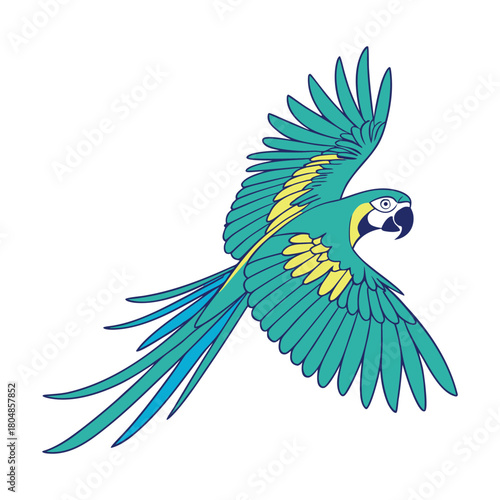 Vibrant blue and yellow macaw parrot in flight with spread wings and long tail feathers