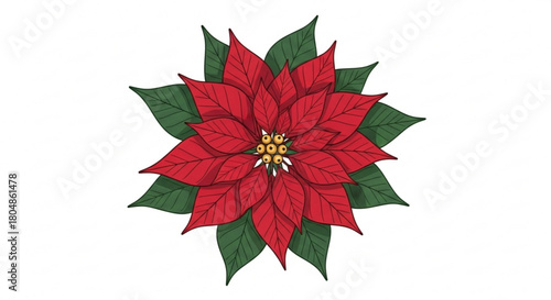 Festive poinsettia illustration radiates holiday cheer, perfect for seasonal greetings and joyful Christmas designs, a touch of elegant, vibrant warmth