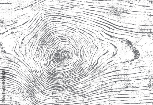 Detailed close up of a grey and white wood grain texture with visible rings and rough surface details