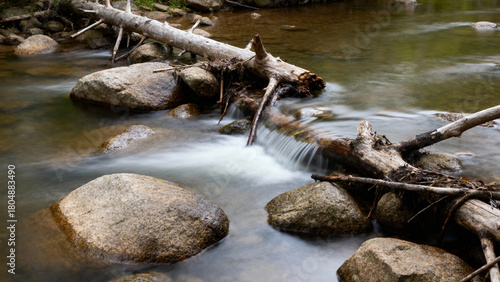 Stream flowing over rocks and fallen logs in a forest setting