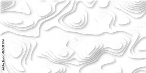 Luxury creative spiral paper background. vector natural shadow papercut web topography map spiral line. white light dynamic smooth cover origami papercut texture background.	