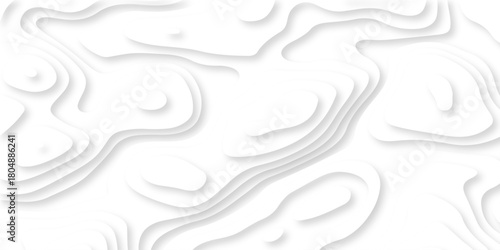 Luxury creative spiral paper background. vector natural shadow papercut web topography map spiral line. white light dynamic smooth cover origami papercut texture background.