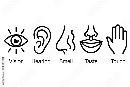 The five senses are illustrated as icons: vision, hearing, smell, taste, and touch.