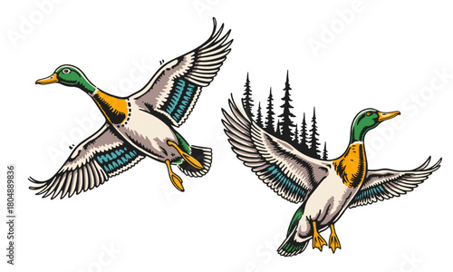 set of two vintage flying mallard duck illustrations. Retro hand drawn artwork for a t-shirt or logo