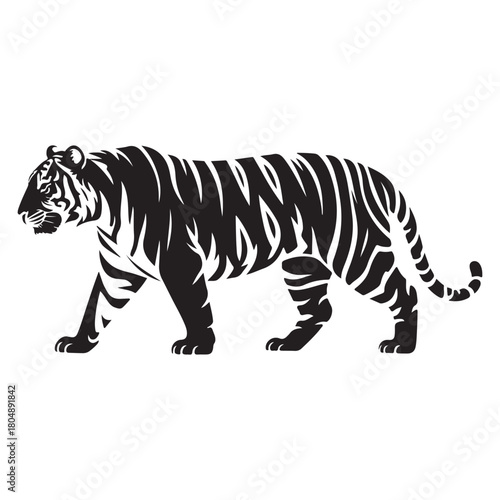 Tiger Vector
