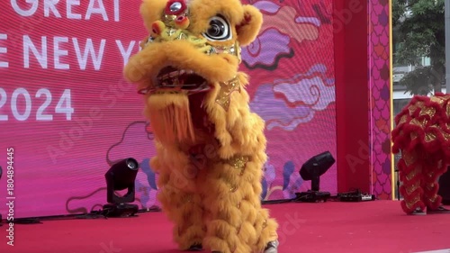 Chinese lion dance performing, Slow motion.	