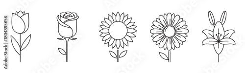 A collection of five elegant black outline flower illustrations, featuring a tulip, rose, sunflower, daisy, and lily, presented in a minimalist and clean line art style