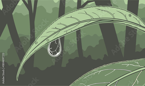 Dewdrop on a Green Leaf in a Forest nature