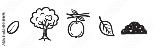 A charming collection of hand-drawn illustrations depicting the growth stages of a fruit tree, including a seed, a leafy tree, an apple on a branch, a leaf, and soil