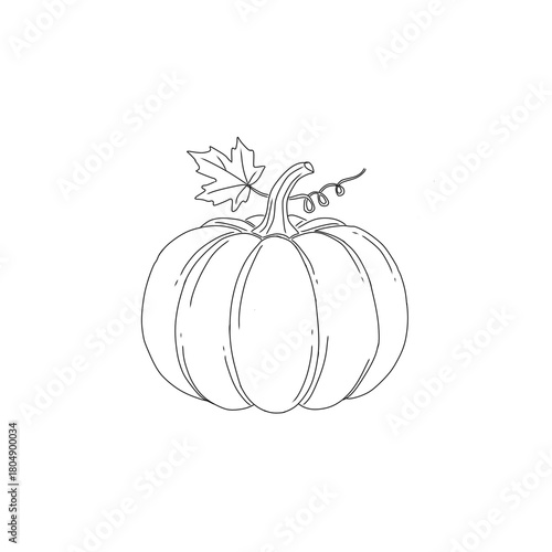 Classic black and white line art illustration of a ripe pumpkin with a small attached maple leaf and curly vine. Perfect simple vector graphic for Halloween, Fall, or Thanksgiving designs.