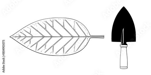 Nature's Art: Black White Illustration House Plant Leaf Tool Kit | Clean, isolated vector art for creative projects.