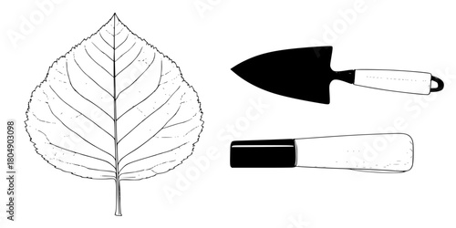 Monochrome Melodies: Tribute Botanical Artistry | Clean, isolated vector art for creative projects.